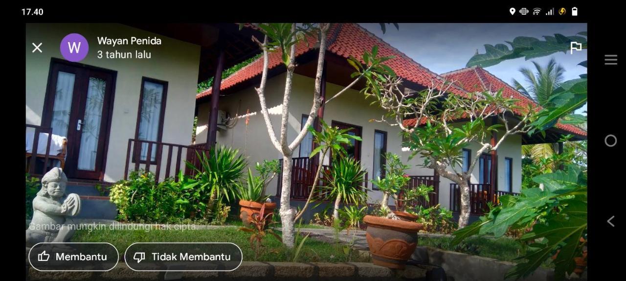 Mount Sea View Bungalow Sakti Bagian luar foto